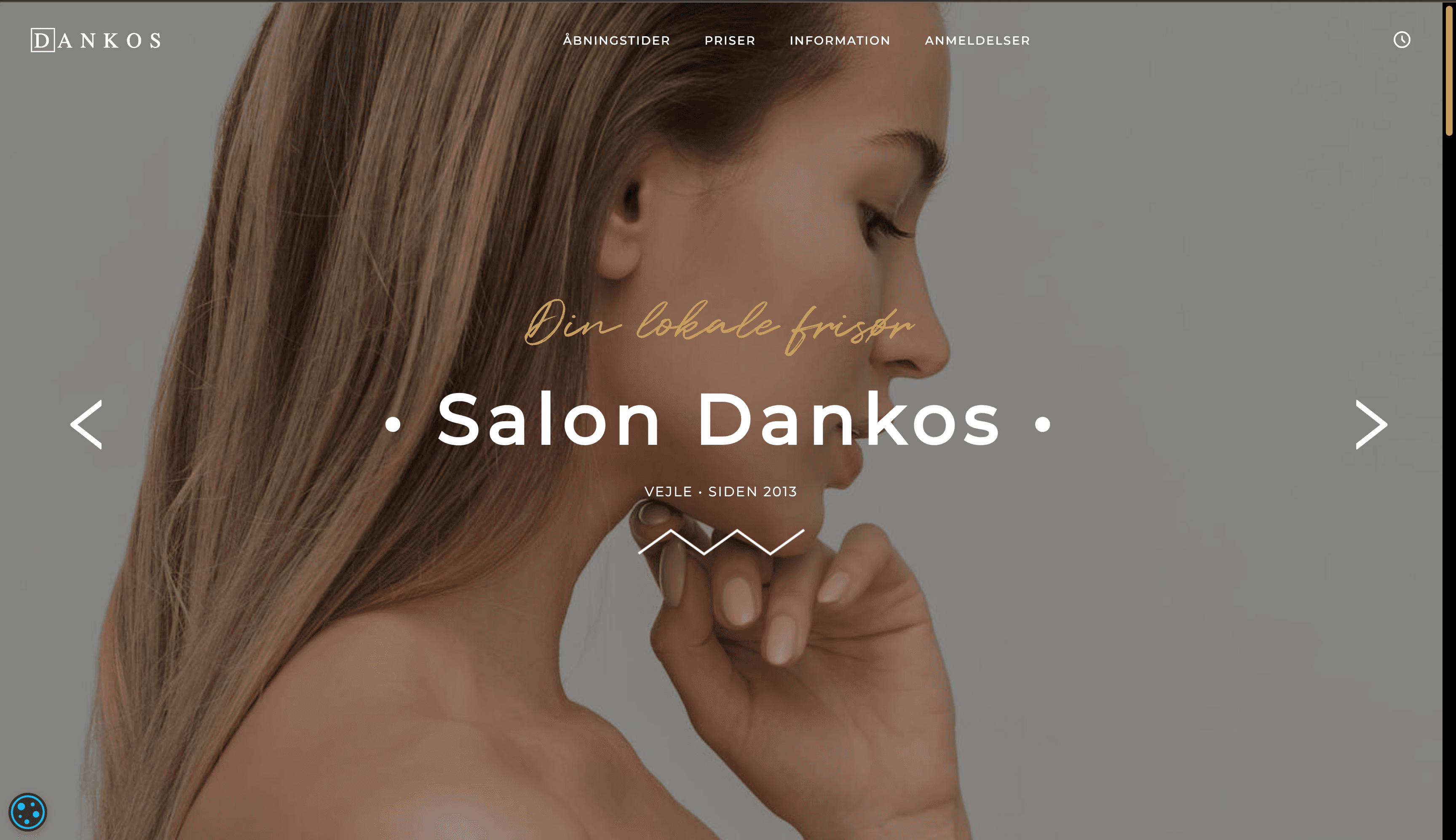 Salondankos.dk preview image